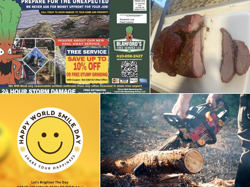 Blanford's Tree Service LLC