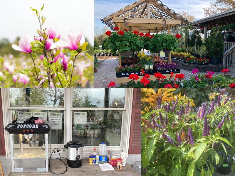 Wintergreen Landscape Nursery