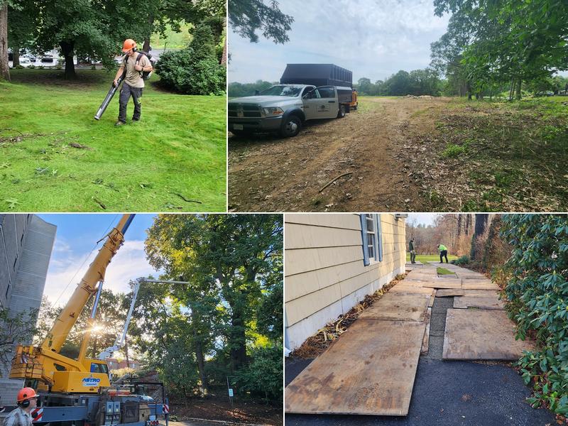 Dave's Tree and Landscaping Services Inc.