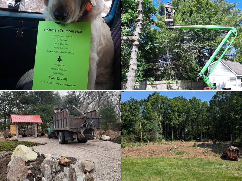 Hoffman Tree Service