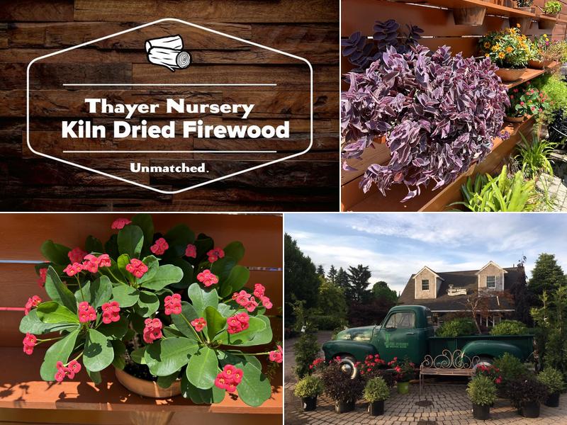 Thayer Nursery
