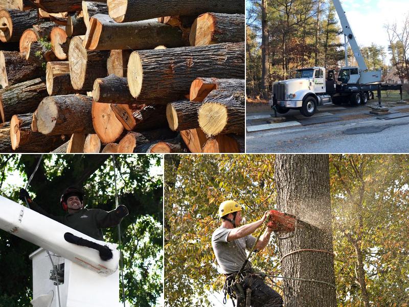 Hansen Landscape & Tree Services