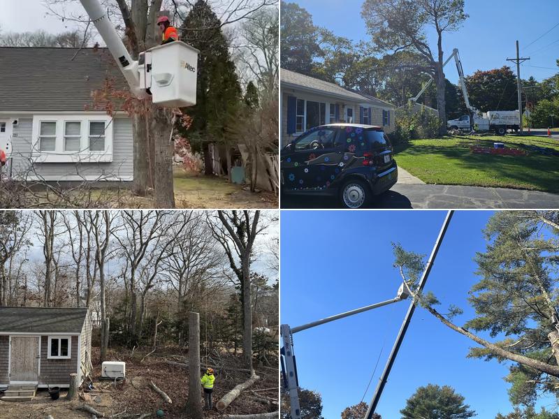 Cape Home Tree Service, Inc.