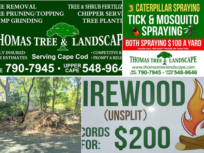 Thomas Tree & Landscape