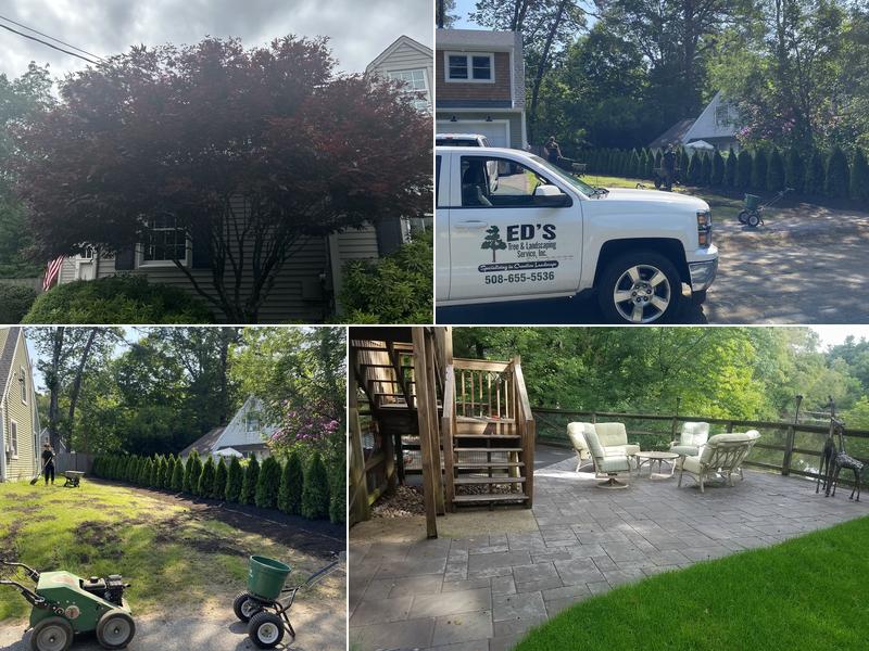 Ed's Landscaping & Tree