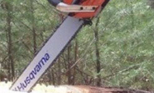 Lorax Tree Services