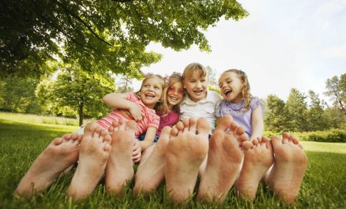 Minuteman Landscaping Inc.