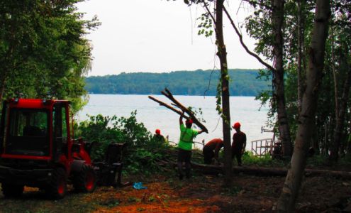 A-1 Professional Tree Service LLC 3941 Kathy Ln, Grawn Michigan 49637