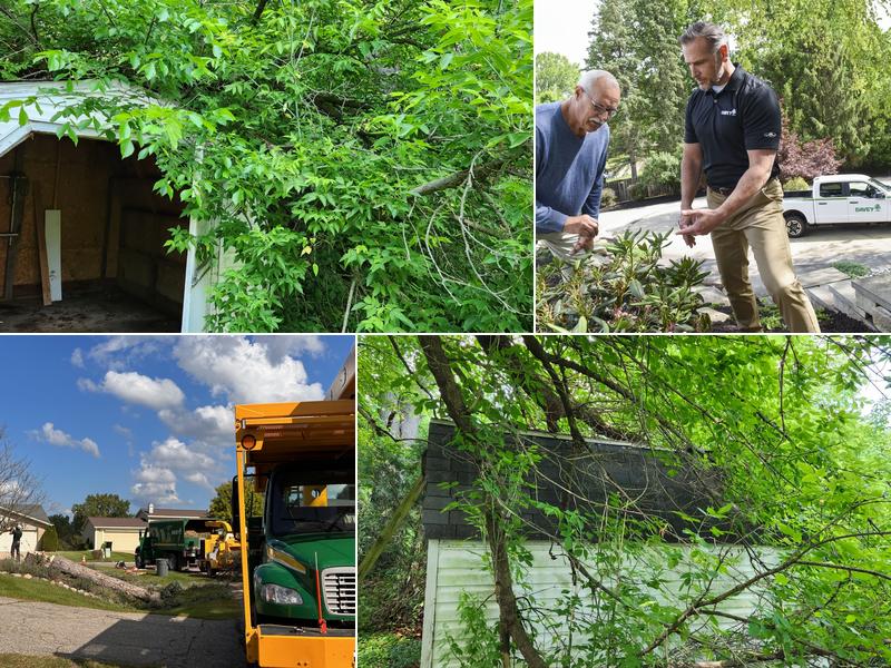 The Davey Tree Expert Company