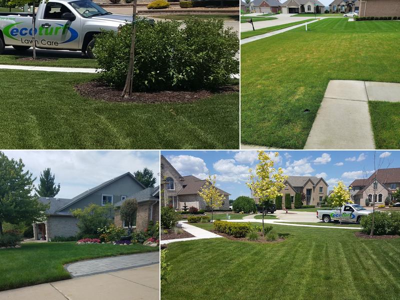 EcoTurf Lawn Care