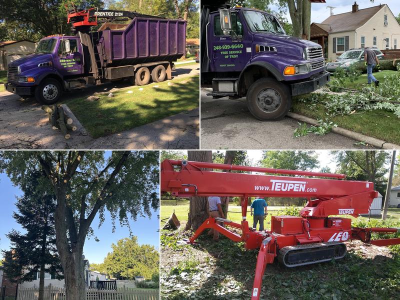 Tree Service of Troy