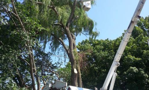 Aerial Bucket Services Inc