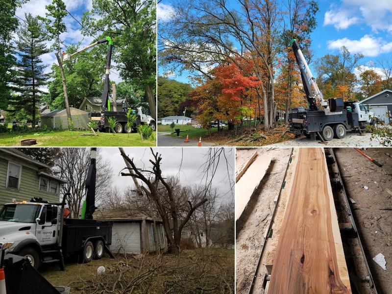 Backwoods Tree Co., llc