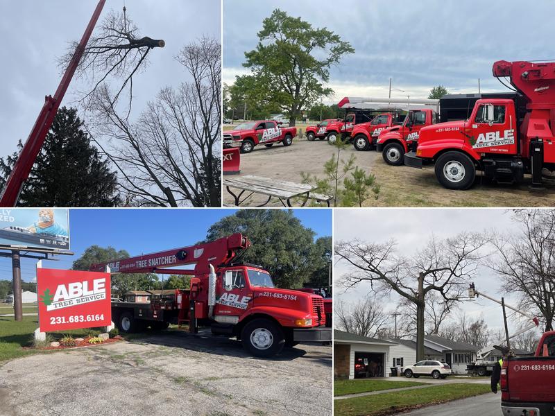 ABLE Tree Service LLC