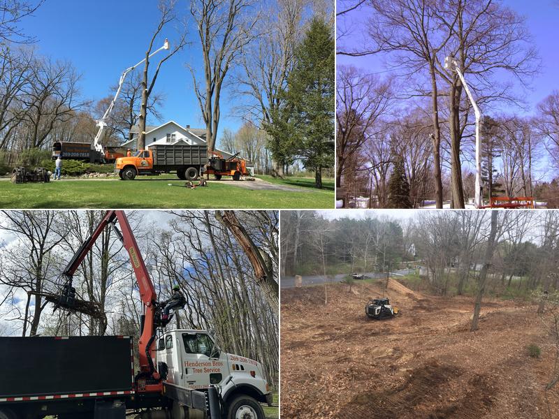 Henderson Bros. Tree Service and forestry mulching