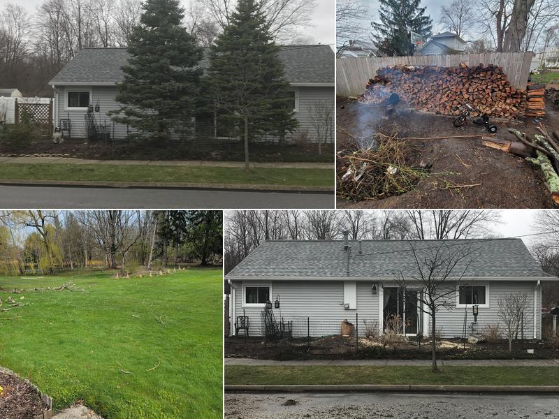 Big East Tree Services LLC