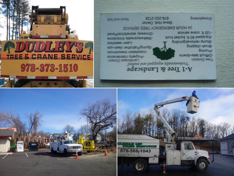 A-1 Tree & Landscape