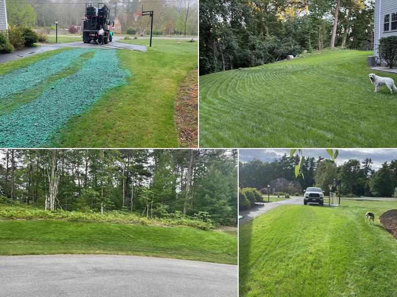 Blarney Hydroseeding
