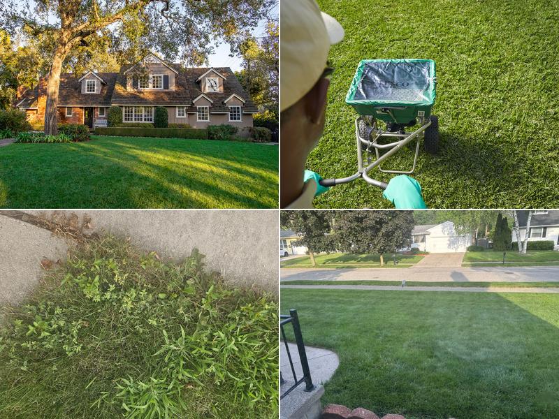 TruGreen Lawn Care