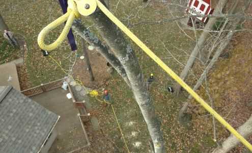 Advanced Arborist LLC