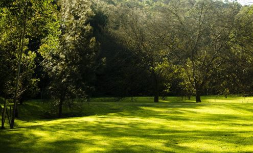 Wilcox Plowing and Lawncare