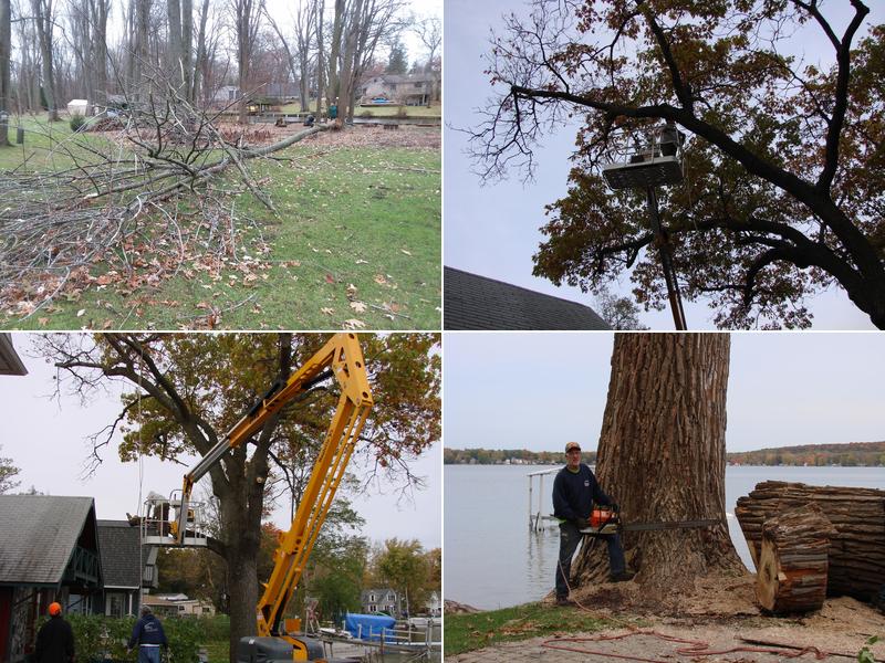 Jeff's Outdoor and Tree Services LLC