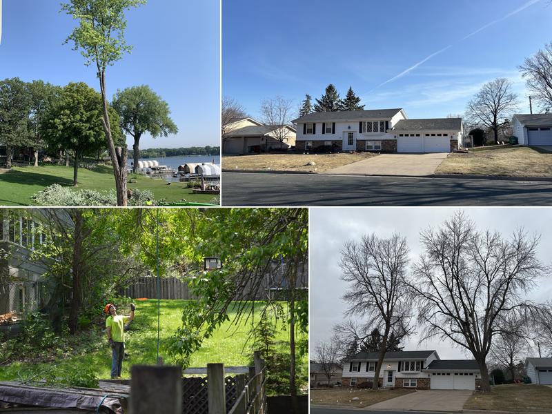 Huston's Tree Service