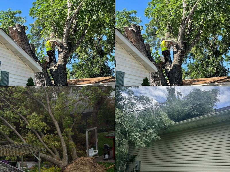 P&C Tree Service
