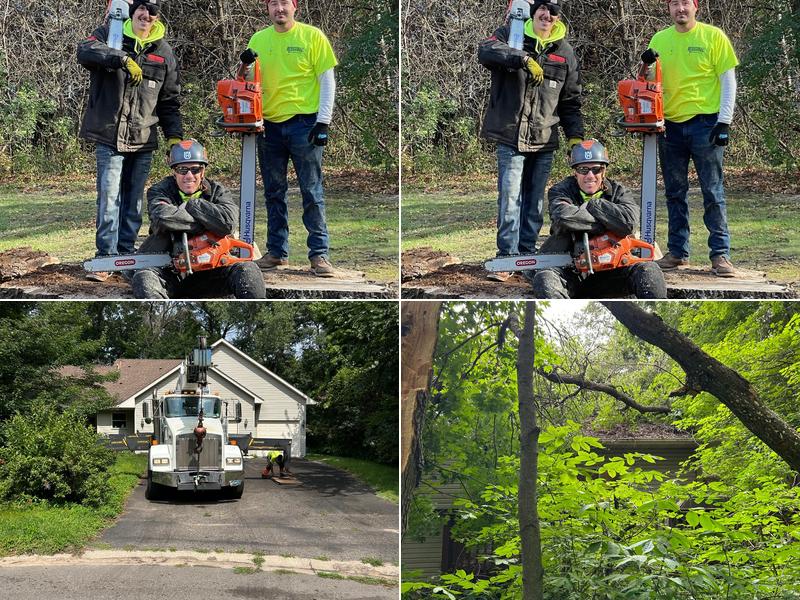 Allstate Tree Service