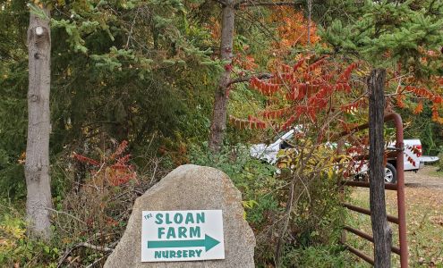 Sloan Tree Farm