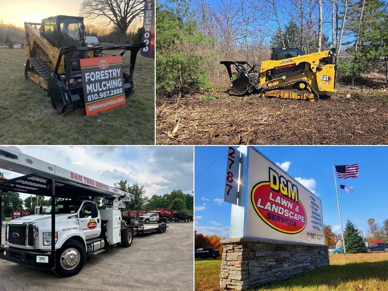 D & M Tree Service LLC – Lawn & Landscape
