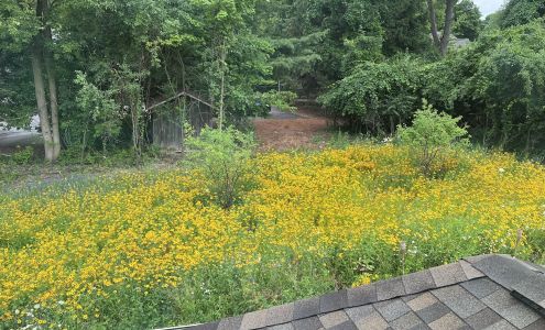 Chura & Sons Nursery-Landscaping