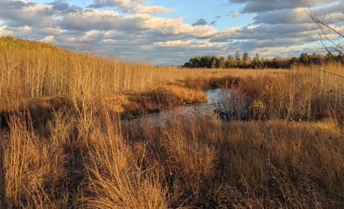 Grand Traverse Organic 5100 Lautner Rd, Williamsburg Michigan 49690