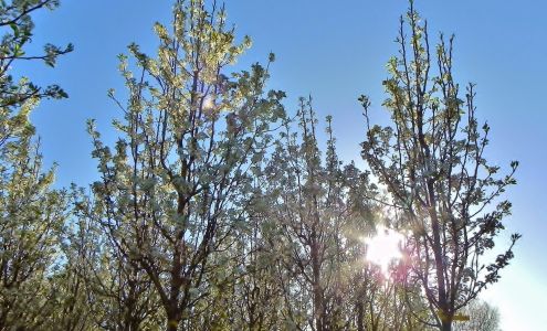 Landscape Supply Inc