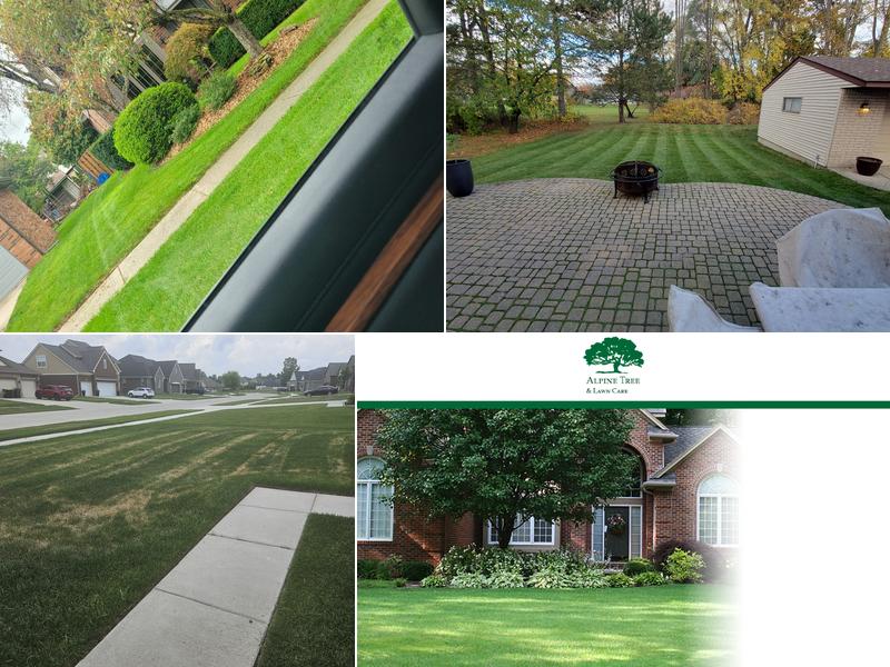 Alpine Tree & Lawn Care