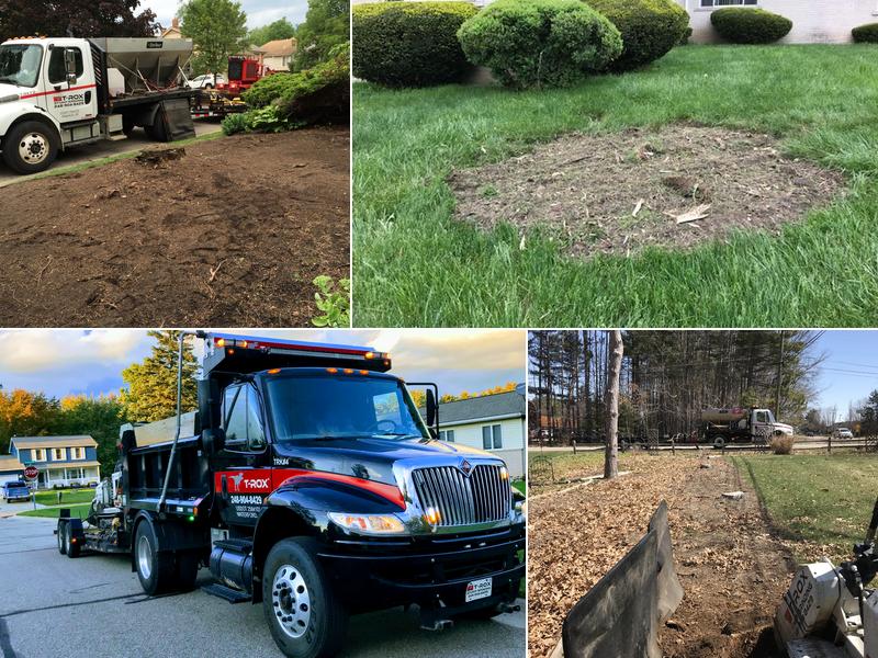 T-Rox Stump Grinding