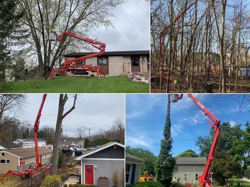 All American Tree Service