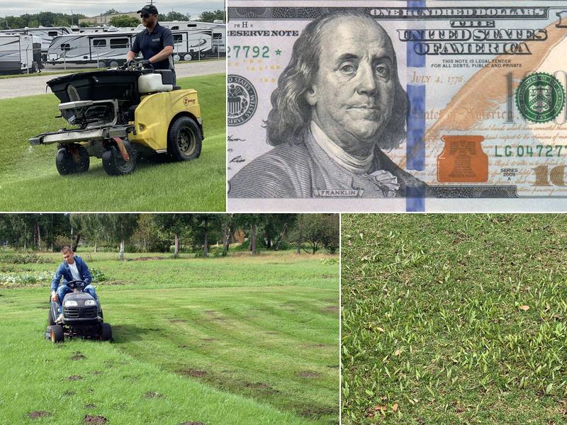 Modern Lawn Tree & Shrub Care