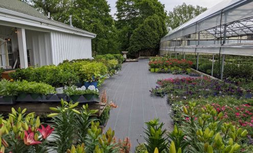 Cherry Valley Gardens 6900 M-37, Middleville Michigan 49333