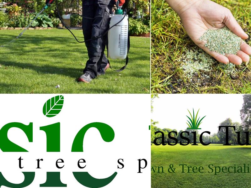 Classic Turf and Tree