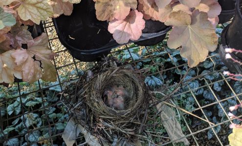 Green Scene Landscaping