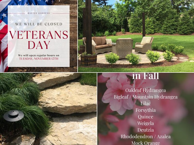 Baxter Gardens of Chesterfield