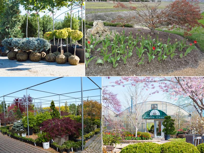 Chesterfield Valley Nursery