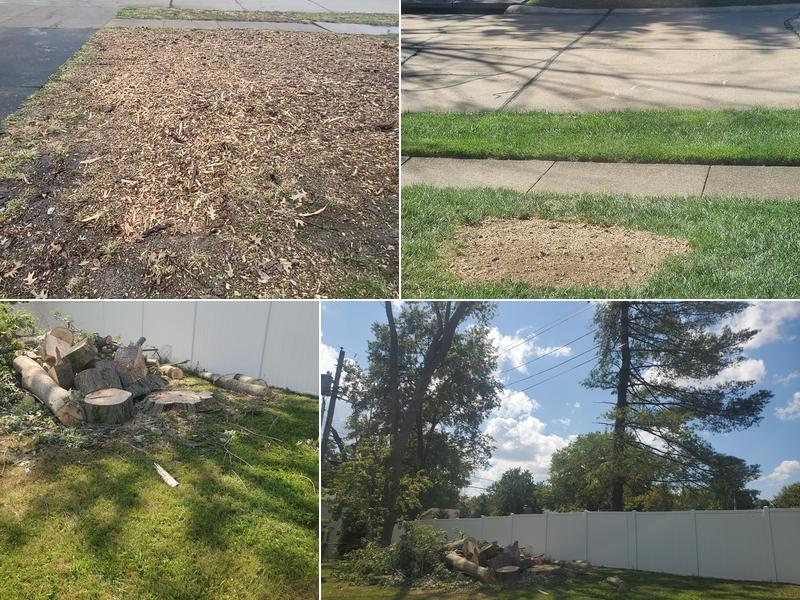 Complete Tree Service of St. Louis