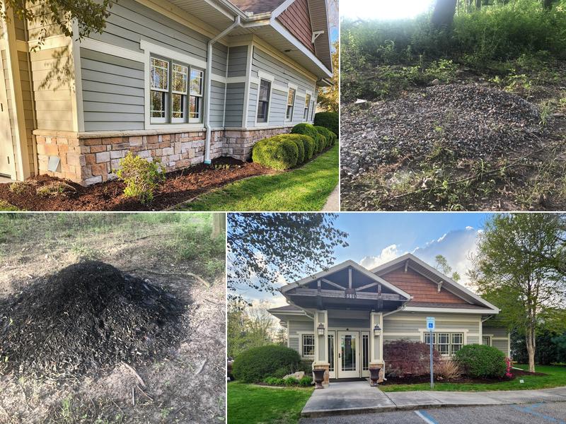 S & T Lawn Services Inc