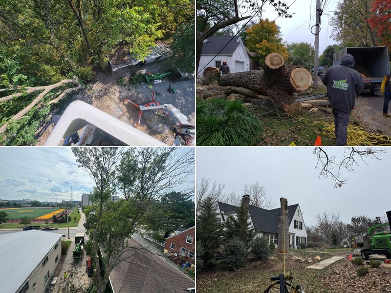 Voss Landscape & Tree Service