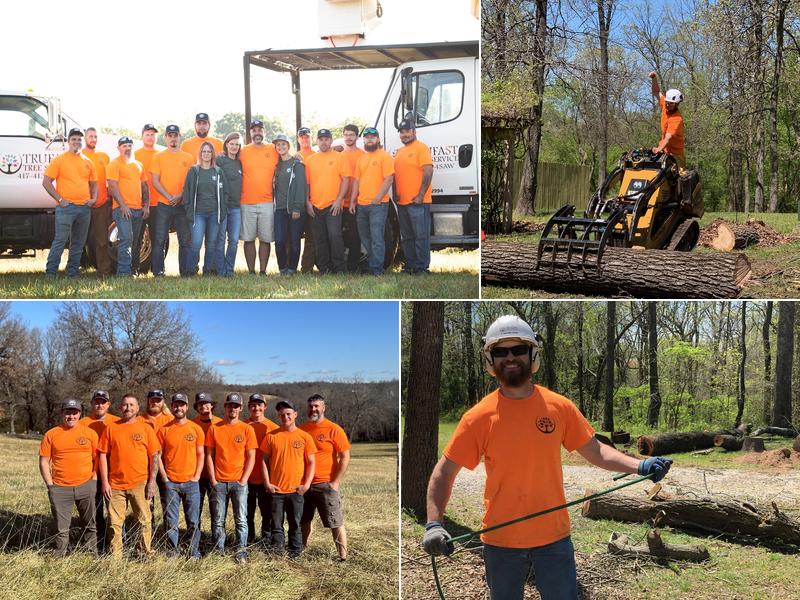 Trufast Tree Service
