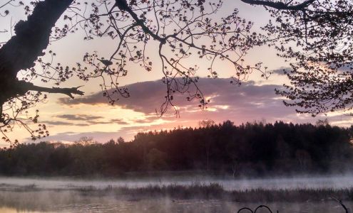 LandXscape Landscaping & Yard Maintenance