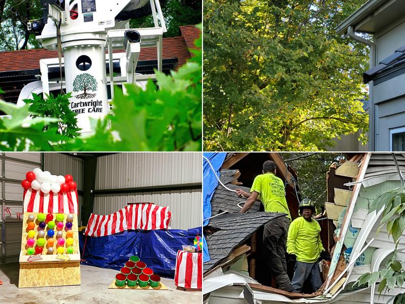 Cartwright Tree Care