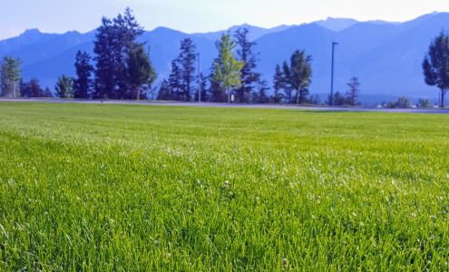 Kootenay Lawn Doctor Inc